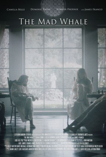 смотреть Безумный кит (2017)