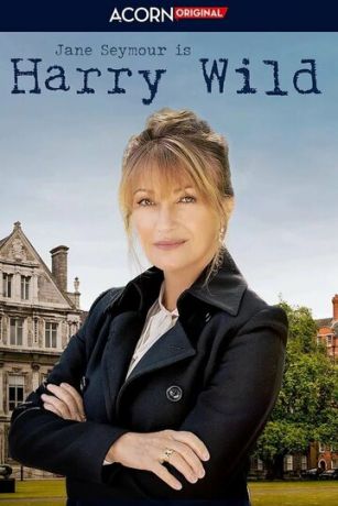 Гарри Уайлд (сериал)