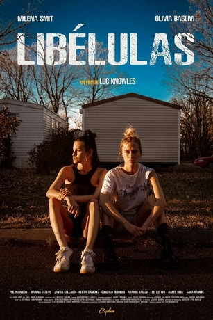 Стрекозы (2022)