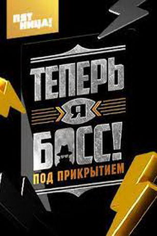 смотреть Теперь я босс. Под прикрытием 1 сезон 3 серия