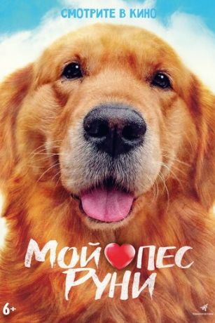 смотреть Мой пёс Руни (2023)