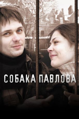 смотреть Собака Павлова (2005)