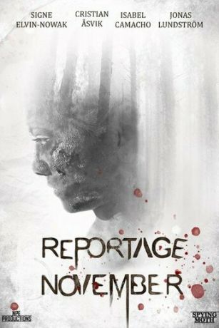 смотреть Ноябрьский репортаж (2020)