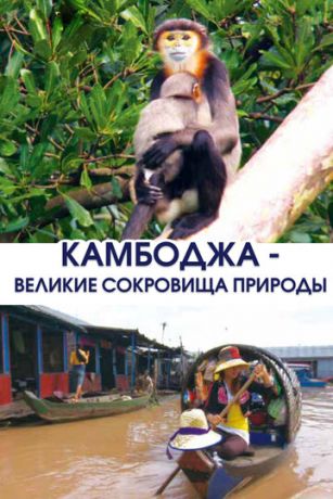 смотреть Камбоджа - великие сокровища природы 1 сезон 2 серия