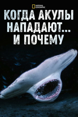 смотреть Когда акулы нападают... и почему 1 сезон 8 серия