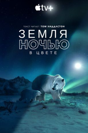 смотреть Земля ночью в цвете 2 сезон 6 серия