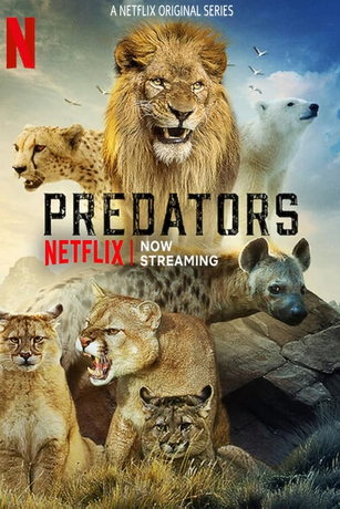 смотреть Хищники 1 сезон 5 серия