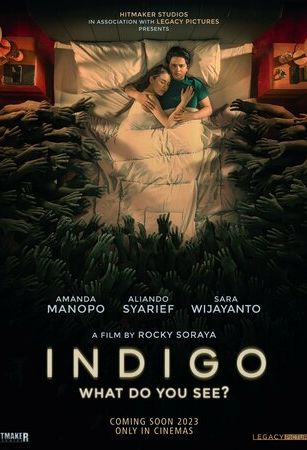смотреть Индиго (2023)