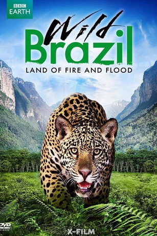 смотреть Дикая Бразилия 5 сезон 3 серия