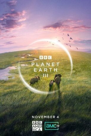 смотреть BBC: Планета Земля III 1 сезон 8 серия