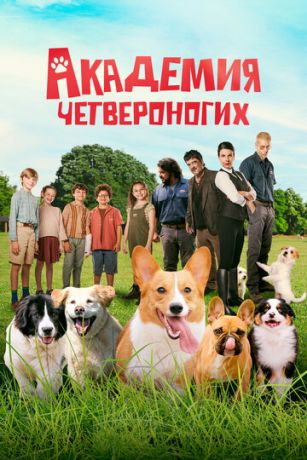смотреть Академия четвероногих (2024)