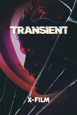 Переходный процесс (2024)