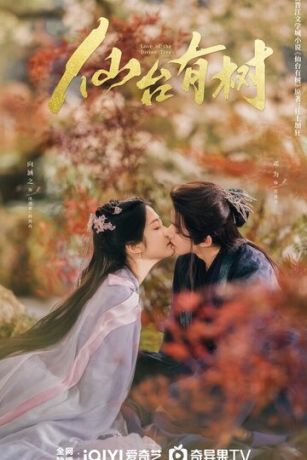 В Сендае растут деревья 1 сезон 40 серия