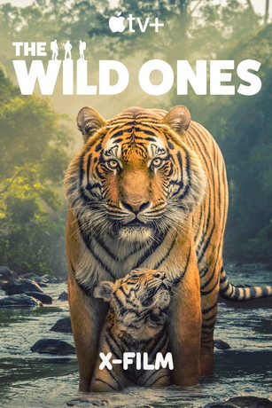 смотреть В мире дикой природы 1 сезон