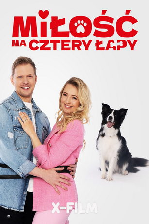 смотреть У любви четыре лапы (2023)