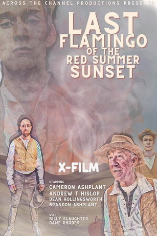 Последний фламинго красного летнего заката (2024)