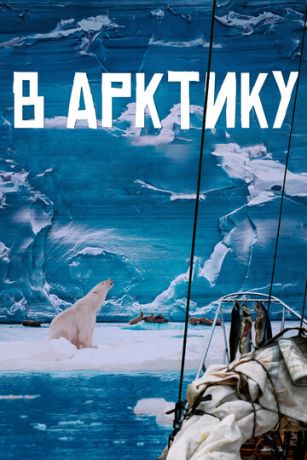 смотреть В Арктику (2024)