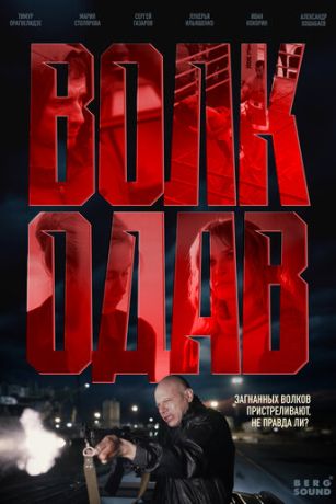 смотреть Волкодав (сериал)