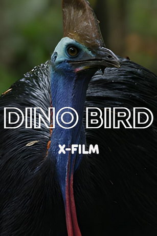 смотреть Птица-динозавр (2017)