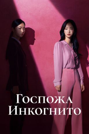 Госпожа Инкогнито (сериал)