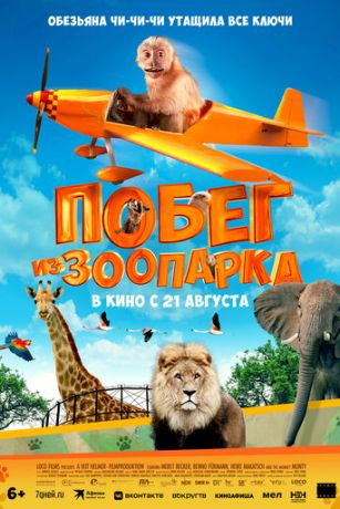 смотреть Побег из зоопарка (2024)