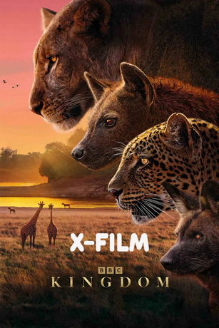 смотреть Царство животных (сериал)