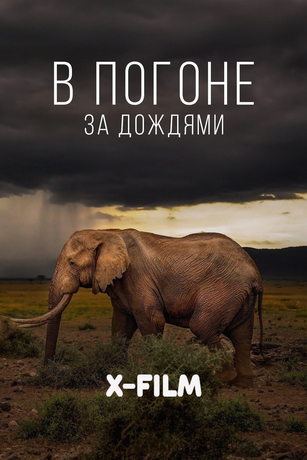 В погоне за дождями (сериал)