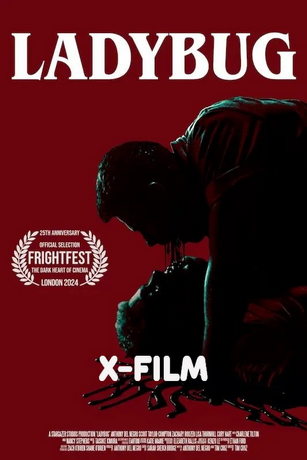 Божья коровка (2024)