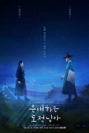 Моя любимая воровка (сериал)