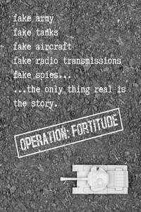 Операция Fortitude (2026)